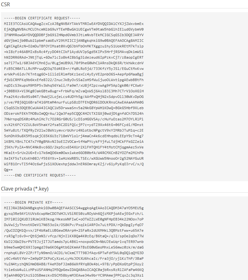 Imagen 5 - Cómo instalar un certificado SSL en Plesk Onyx - CSR y KEY