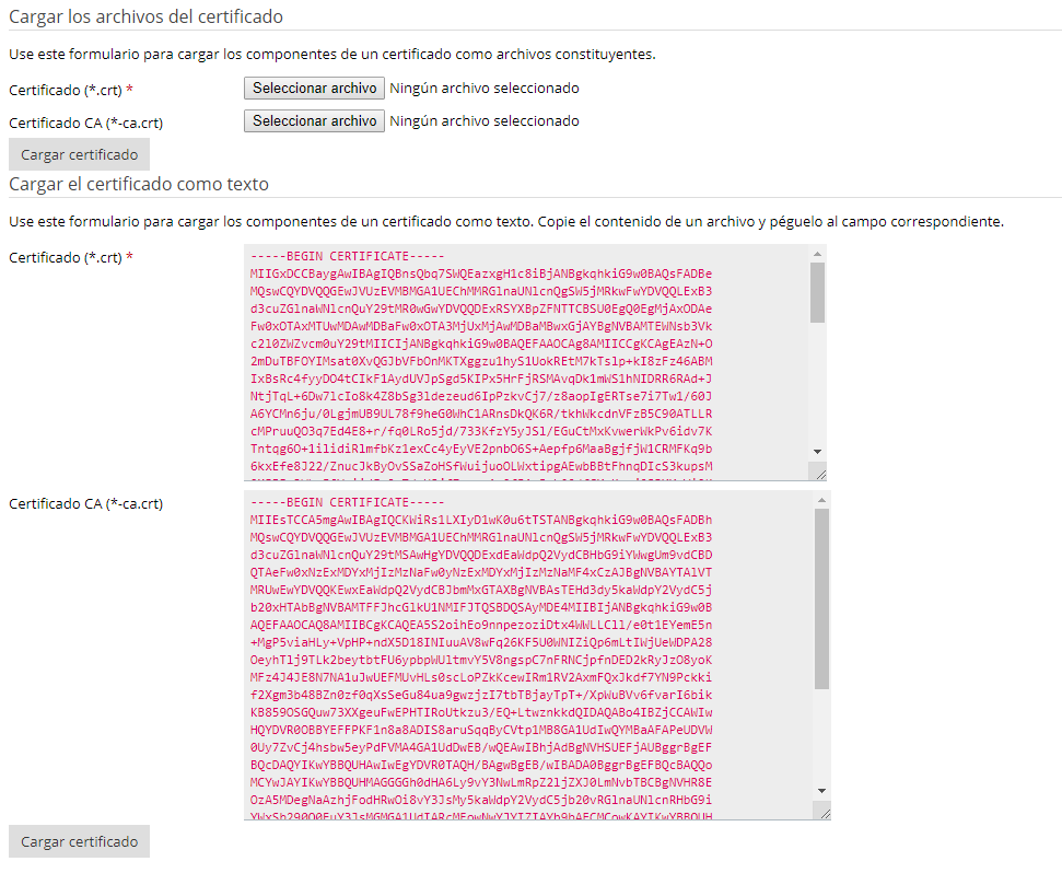 Imagen 8 - Cómo instalar un certificado SSL en Plesk Onyx - Cargar CA CRT