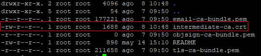 Imagen 10 - Cómo instalar un certificado SSL en CentOS 7 Ruta /ca-trust/extracted/pem