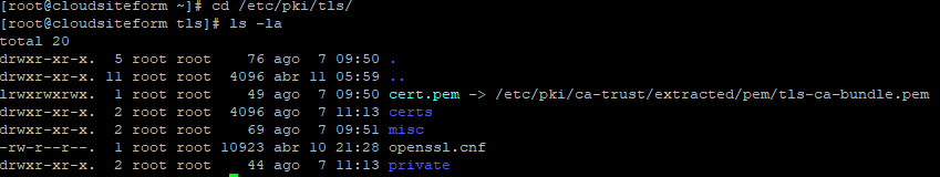 Imagen 7 - Cómo instalar un certificado SSL en CentOS 7 ruta /etc/pki/tls