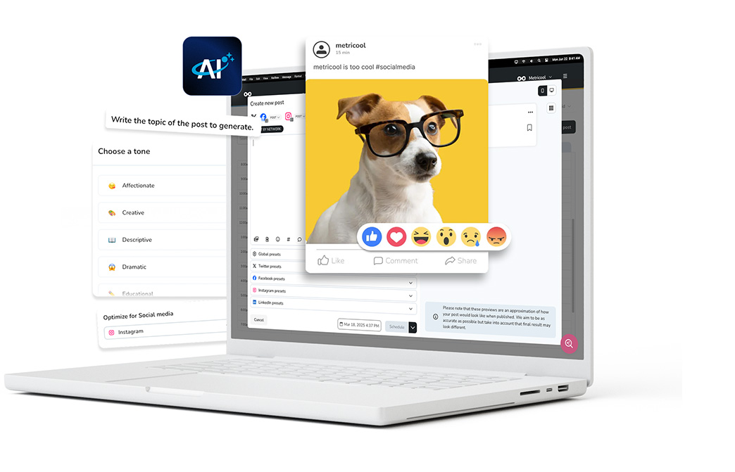 Metricool Product Image